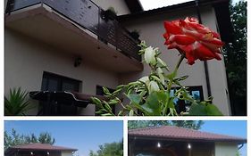 PIATRA ROSIE Pensiune Agroturistică